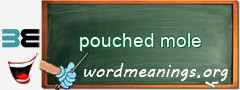 WordMeaning blackboard for pouched mole